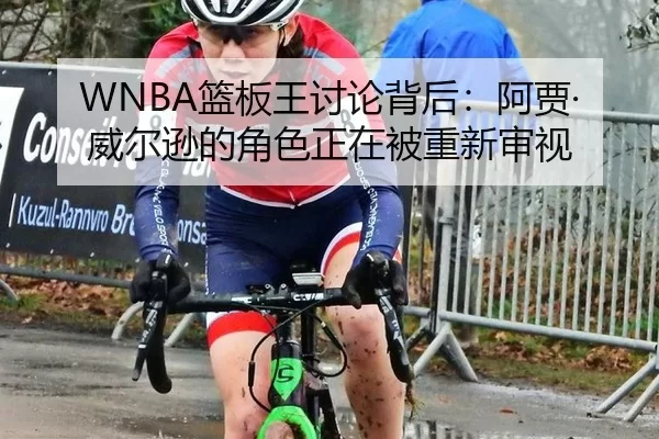 lan-ban-wang-tao-lun-bei-hou-a-jia-wei-er-xun-de-jue-se-zheng-zai-bei-chong-xin-shen-shi-2-380.jpg